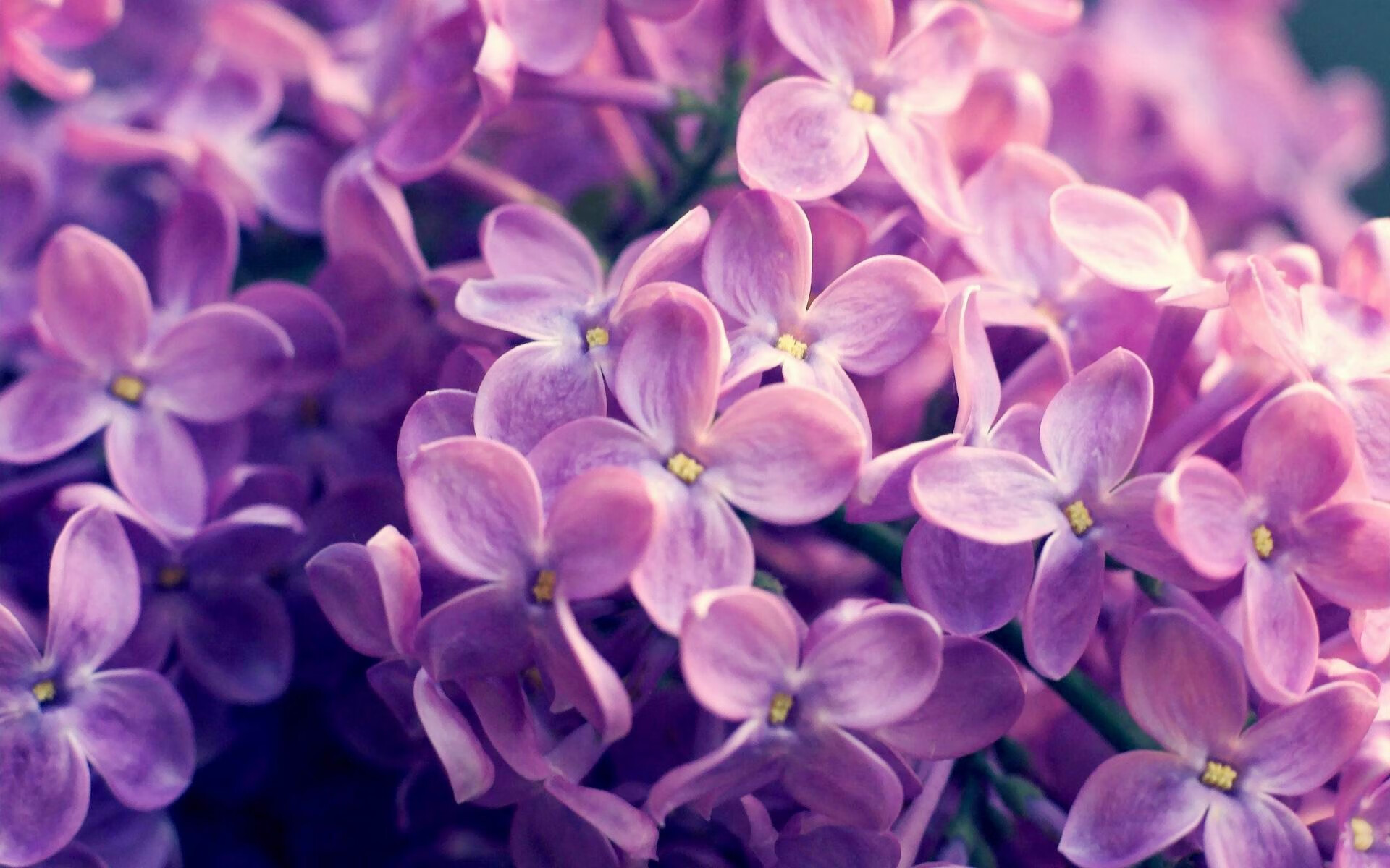 世界保龄球高校联赛赛季优秀球员技术档案发布，保龄球世界锦标赛