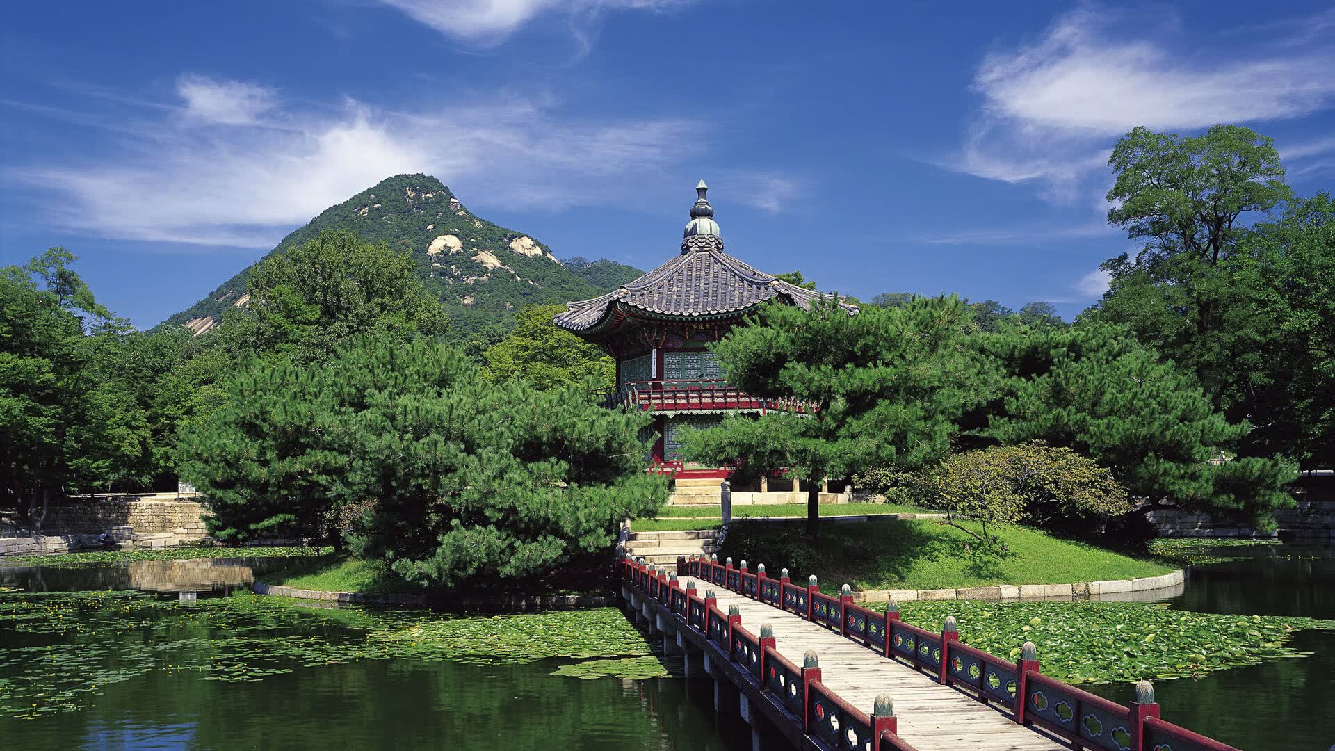 世界登山青年公益募捐季:社会参与推动山区教育与环保项目,登山竞赛